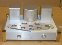 Raysonic SE20